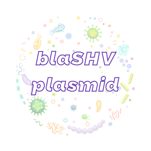 抗性基因 blaSHV 质粒标准品