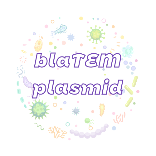 抗性基因 blaTEM 质粒标准品