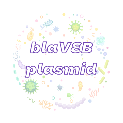 抗性基因 blaVEB 质粒标准品