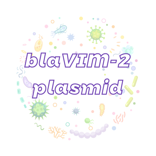 抗性基因 blaVIM-2 质粒标准品