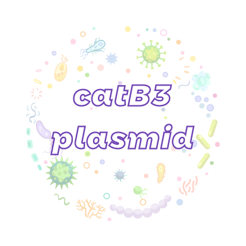 抗性基因 catB3 质粒标准品