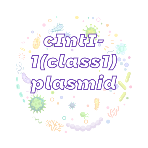 抗性基因 cIntI-1(class1) 质粒标准品