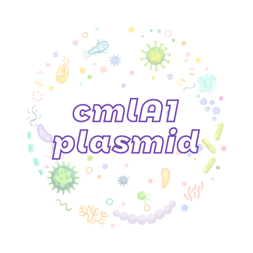 抗性基因 cmlA1 质粒标准品