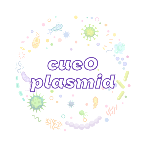 抗性基因 cueO 质粒标准品