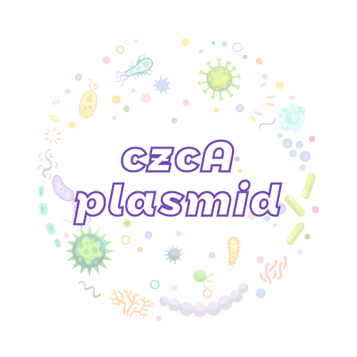 抗性基因 czcA 质粒标准品
