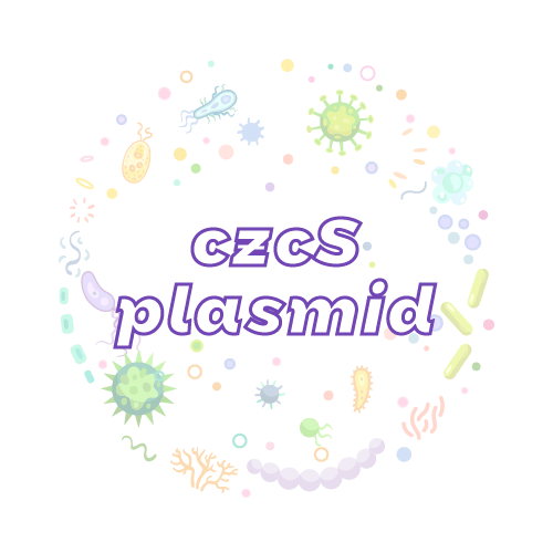 抗性基因 czcS 质粒标准品