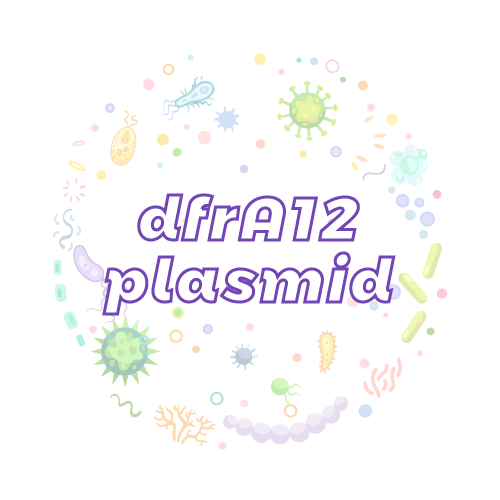 抗性基因 dfrA12 质粒标准品
