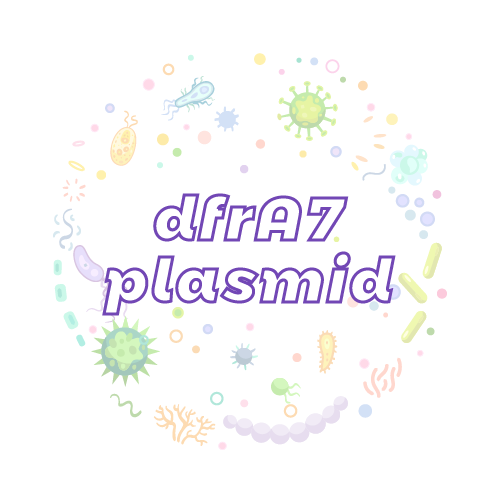 抗性基因 dfrA7 质粒标准品
