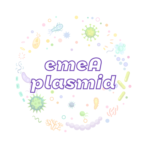 抗性基因 emeA 质粒标准品