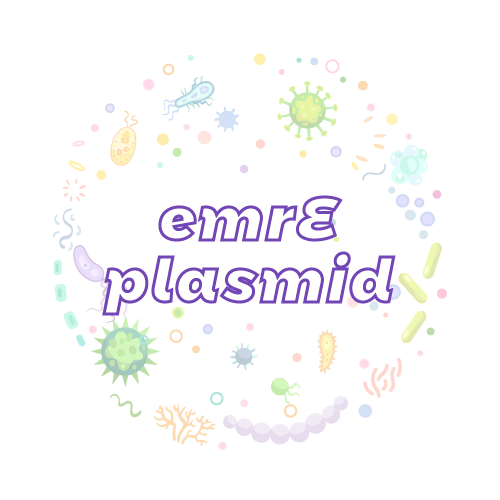 抗性基因 emrE 质粒标准品