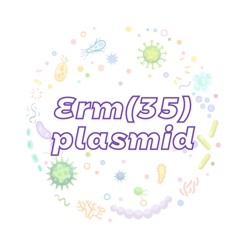 抗性基因 Erm(35) 质粒标准品