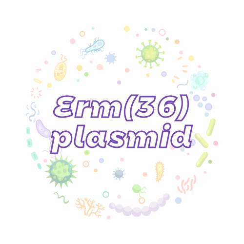 抗性基因 Erm(36) 质粒标准品