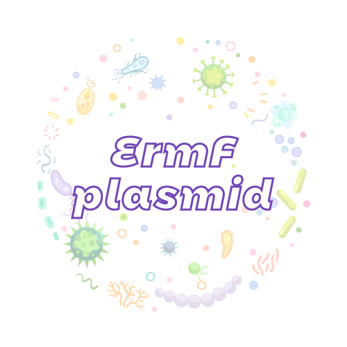 抗性基因 ErmF 质粒标准品