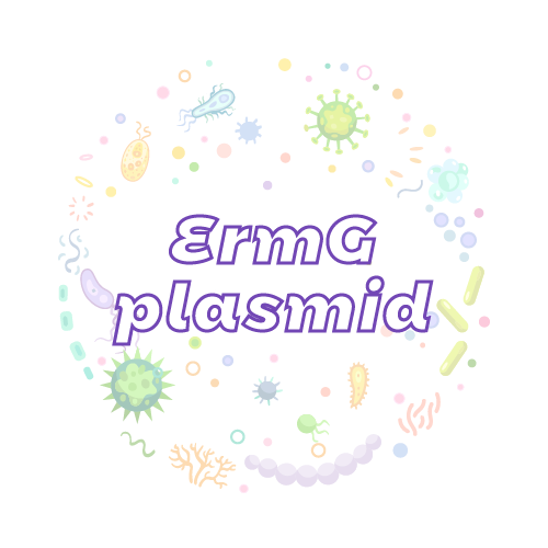 抗性基因 ErmG 质粒标准品