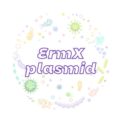 抗性基因 ErmX 质粒标准品