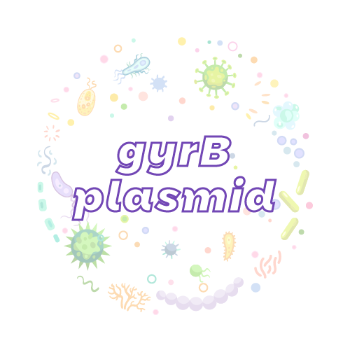 抗性基因 gyrB 质粒标准品