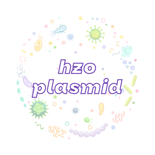 抗性基因 hzo 质粒标准品