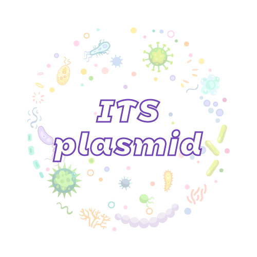 抗性基因 ITS 质粒标准品