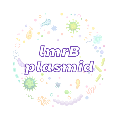 抗性基因 lmrB 质粒标准品
