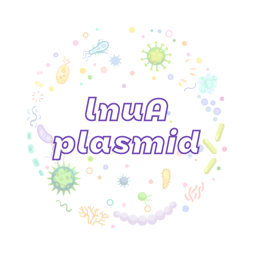 抗性基因 lnuA 质粒标准品