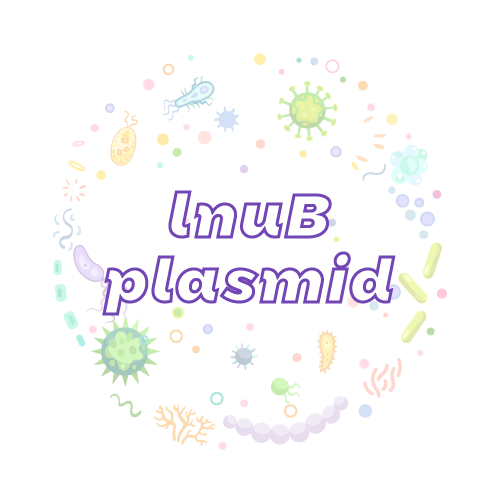 抗性基因 lnuB 质粒标准品