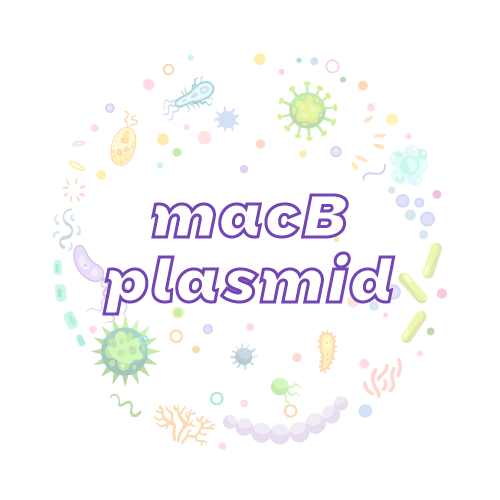 抗性基因 macB 质粒标准品