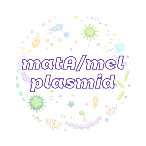 抗性基因 matA/mel 质粒标准品