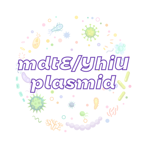 抗性基因 mdtE/YhiU 质粒标准品