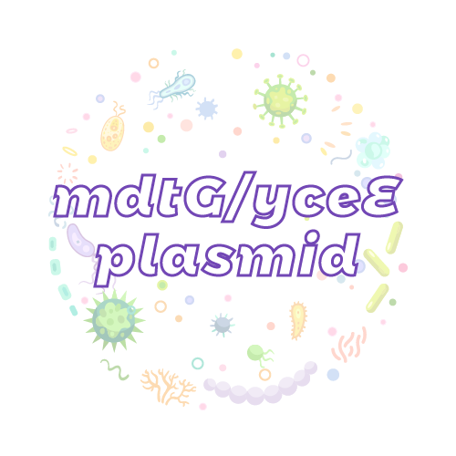抗性基因 mdtG/yceE 质粒标准品