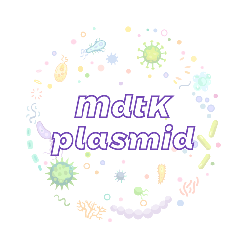 抗性基因 MdtK 质粒标准品