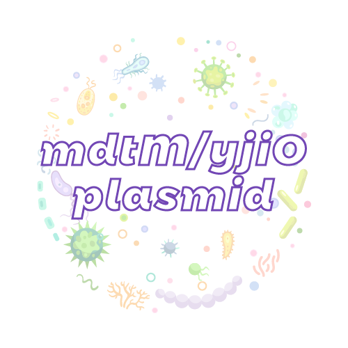 抗性基因 mdtM/yjiO 质粒标准品