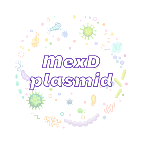 抗性基因 MexD 质粒标准品