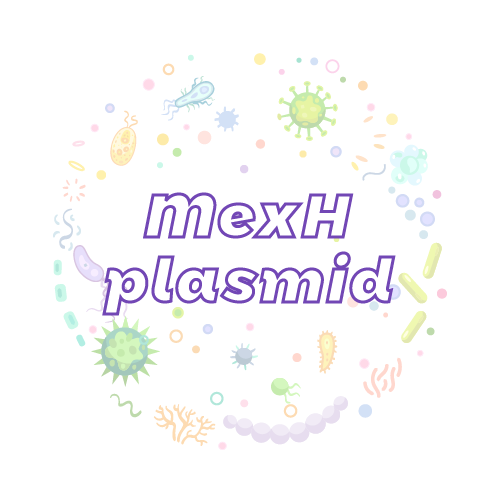 抗性基因 MexH 质粒标准品