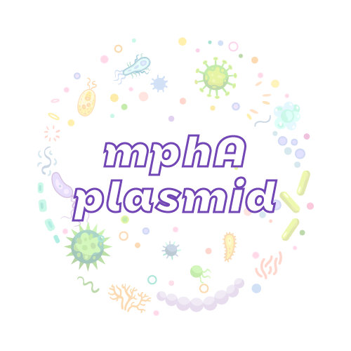 抗性基因 mphA 质粒标准品