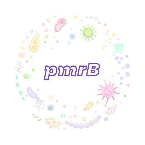 抗性基因 pmrB-绝对定量PCR试剂盒