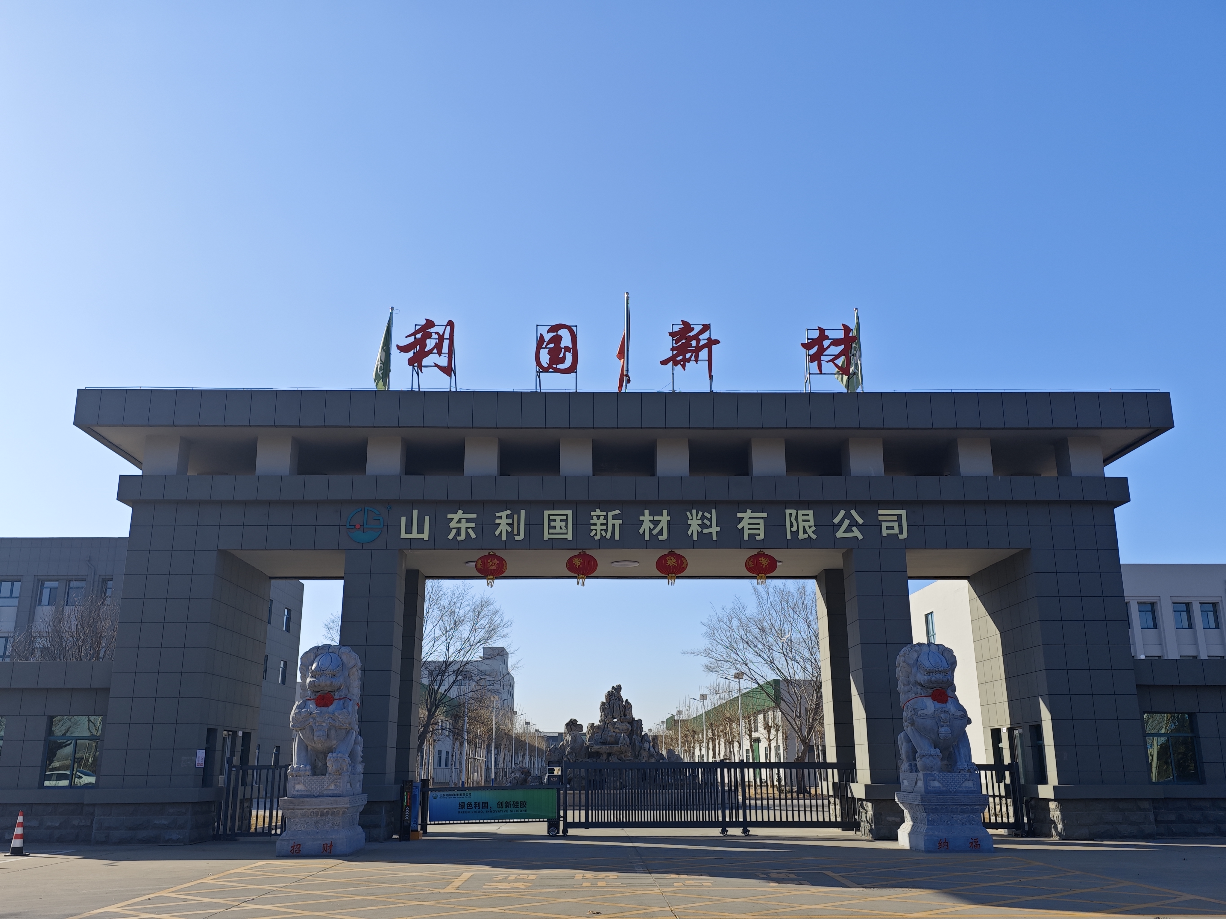 山东利国新材料有限公司
