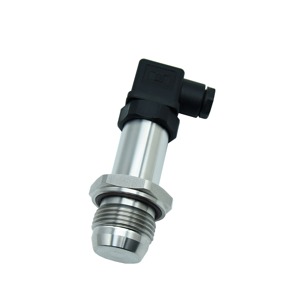 PT2401 隔膜卫生型压力变送器