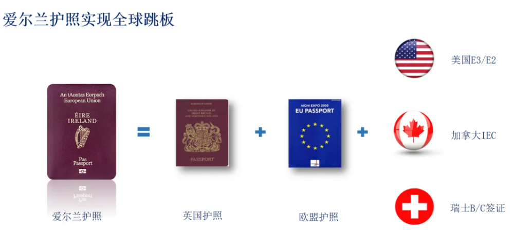 2025新澳门全年免费原料网