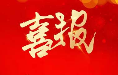 重磅喜讯！红门再登“深圳企业500强”榜单