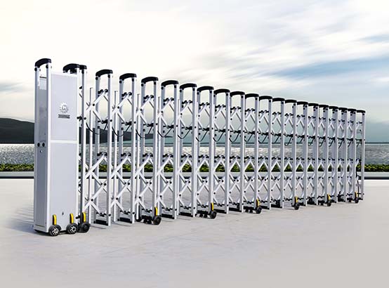 电动民用伸缩门