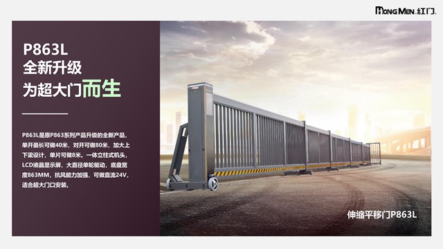 红门平移门P863L (1).jpg