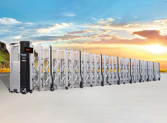 红门电动伸缩门红20C