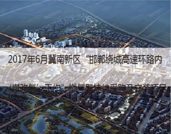 2017冀南新区煤改气工程项目