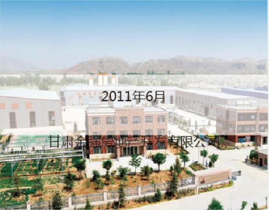 2011甘肃金强房产公司