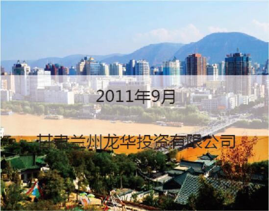 2011甘肃龙华投资公司