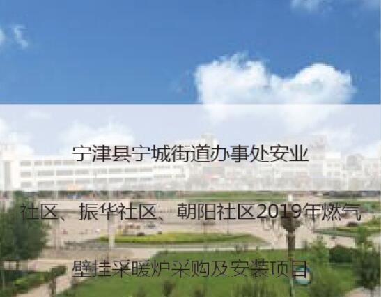宁津县宁城街道2019壁挂炉项目