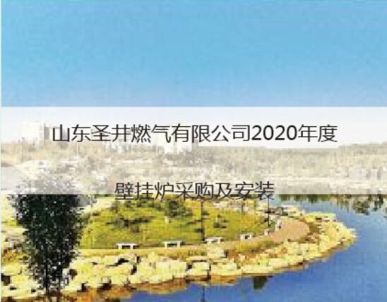 山东圣井燃气公司2020壁挂炉项目