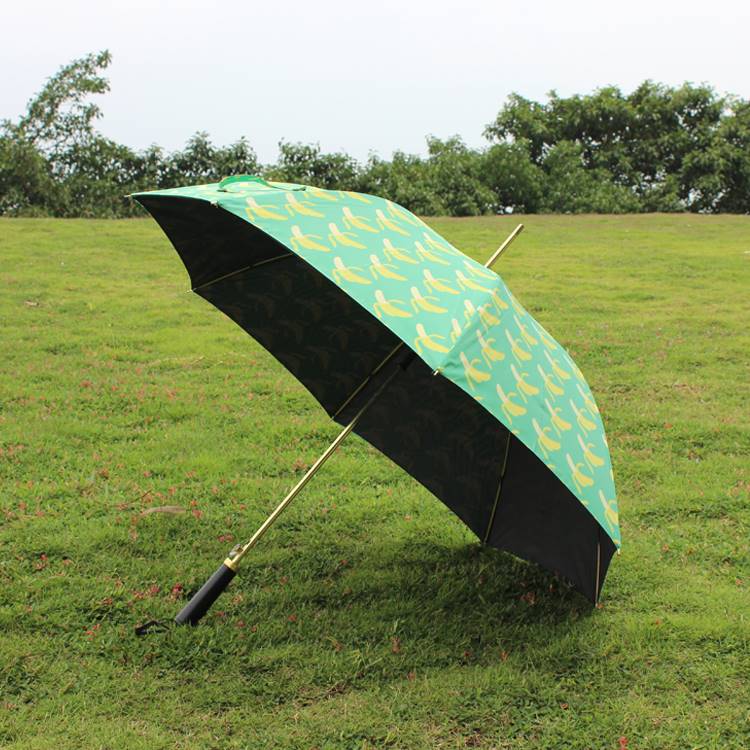 直杆双层自动雨伞