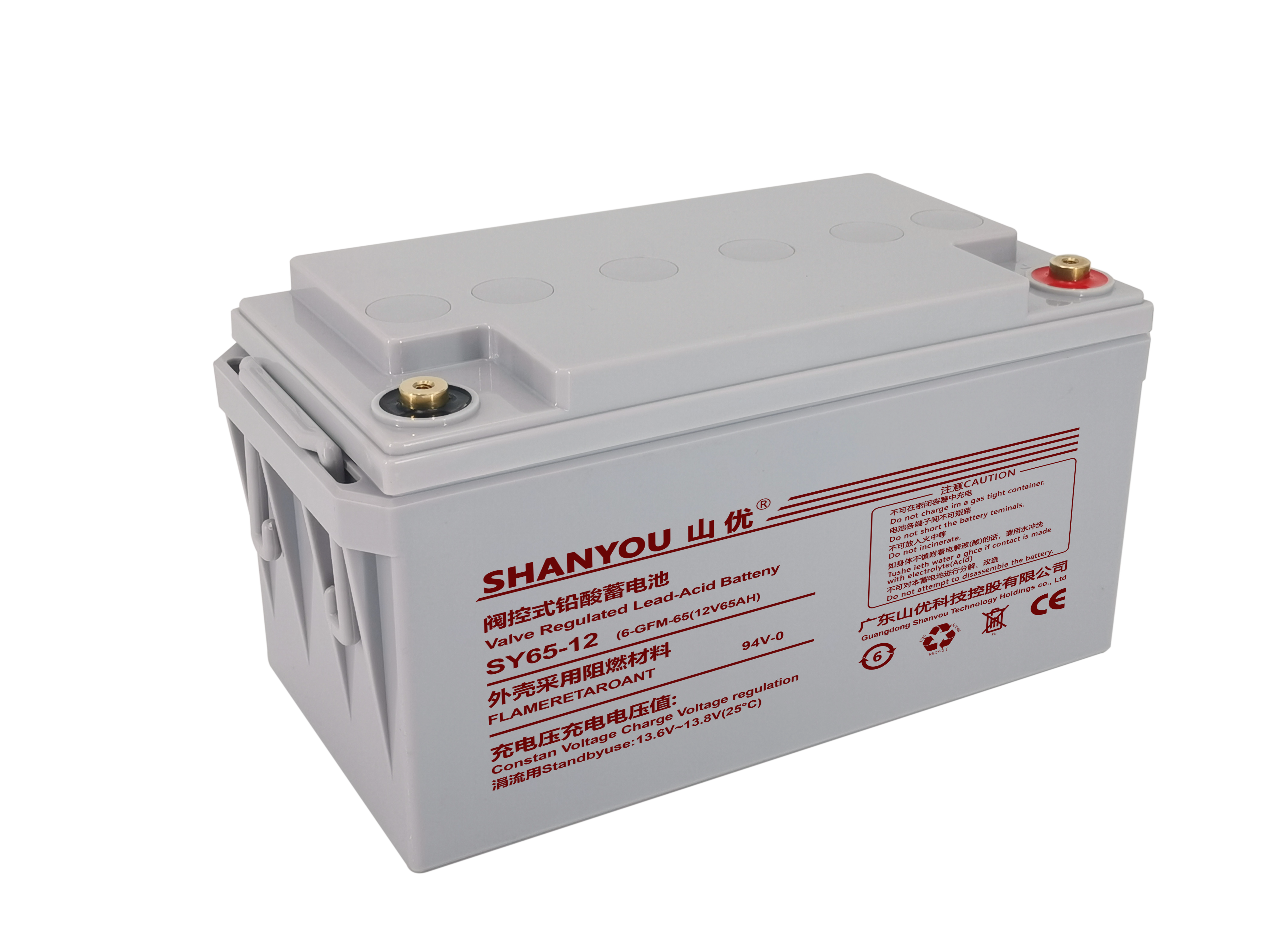 铅酸蓄电池SY65-12