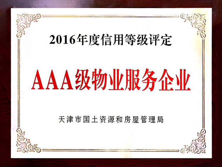 公司榮譽(yù)